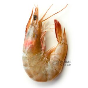 Indian Prawns
